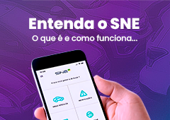 Artigo 6 SNE Simplificação e Economia